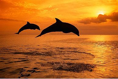 《剑星》PC版大获成功后 索尼移除多个游戏的区域购买限制