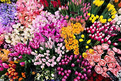 D3P新作《武士少女》Steam页面上线 可加入愿望单