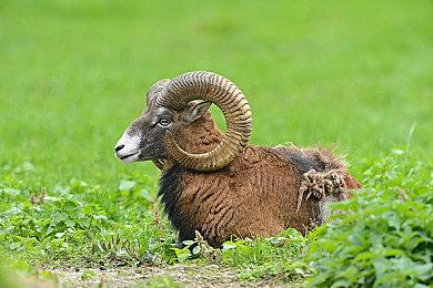 《尼克儿童频道全明星大乱斗2》推出真正实体卡带